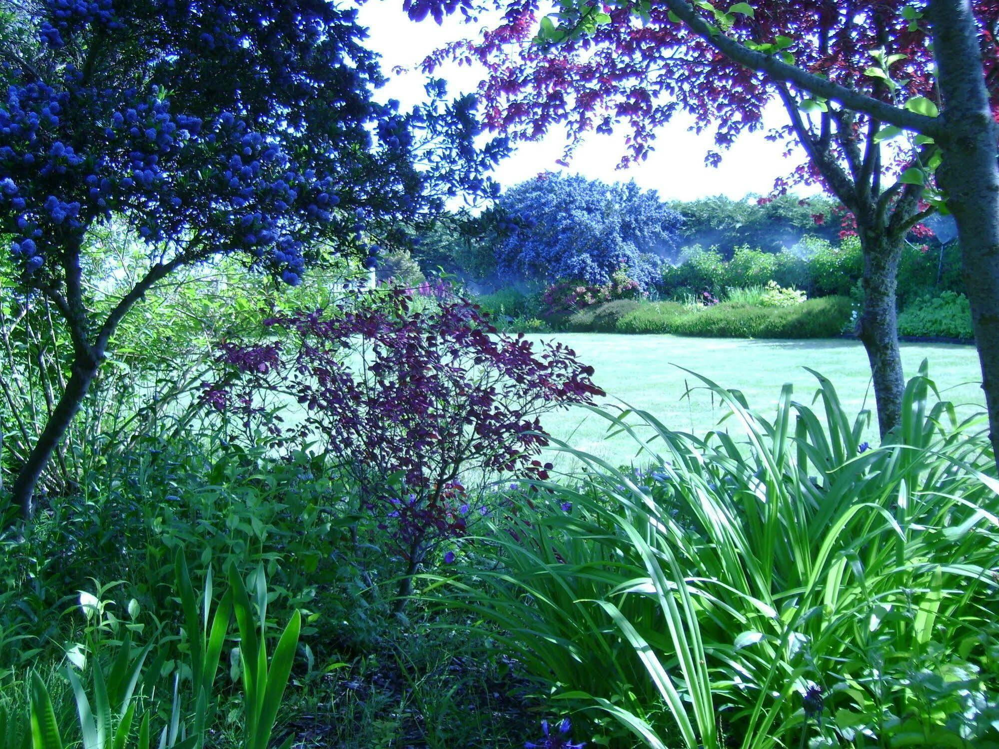 Bed and Breakfast Sea Cliff Gardens Port Angeles Exterior foto